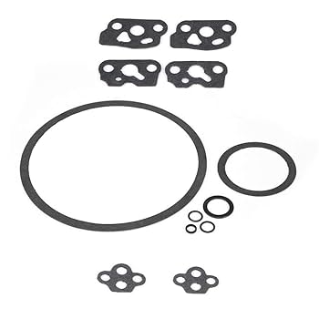 Amazon.com: CQYD New 1477 Carburetor Rebuild Kit For